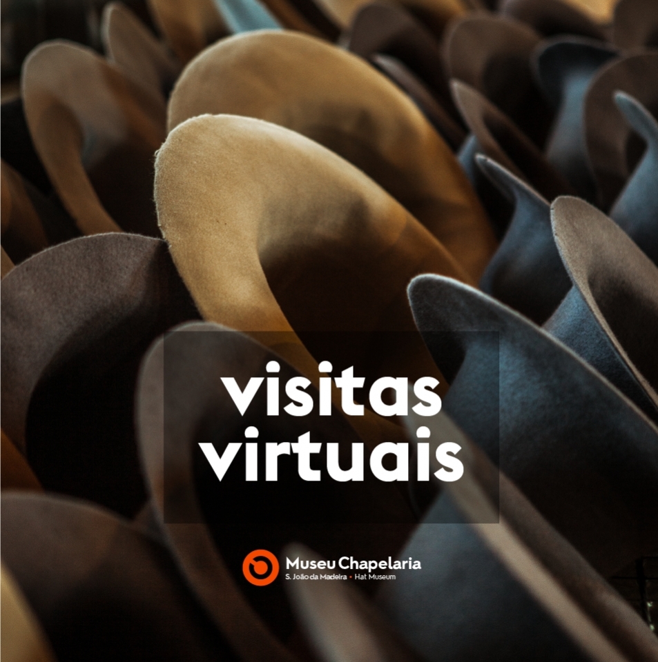 Visitas virtuais ao Museu